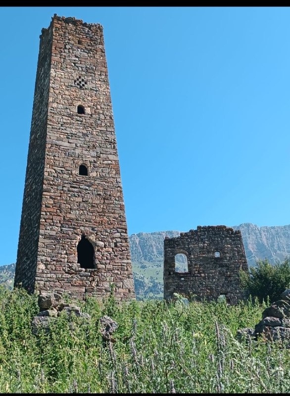 Сотрудники музея-заповедника, в ходе совершенного планового обхода, в 150 метрах к востоку от башенного комплекса «Новый Евли» обнаружили, не учтенный в перечне выявленных объектов культурного наследия, подземный склеп. 

Новый Евлои расположен в 0,5 км юго-западнее Старого Евлоя. Сегодня здесь отмечаются сильно поврежденные 1 боевая и 5 жилых башенных сооружения, которые каменной стеной объединены в единый комплекс.

Выявленный объект имеет почти квадратное основание – 200х230 см, изнутри сложен из нетёсаных камней, на извести. Вход в могильник наполовину прикрыт каменной плитой, содержит в себе костные останки, сохранность удовлетворительная.

Склеп – это надземное, полуподземное или подземное помещение, предназначенное для захоронения умерших, были вызваны к жизни в высокогорной местности из-за острого недостатка земли. Располагались преимущественно на склонах гор. Ингуши называли склепы «маьлха каш» - солнечные могилы.

Обыкновенно склепы расположены группой на окраине селения, образуя как бы особый город мертвых, но чаще они разбросаны близ селения в нескольких местах. Сложены они из нетесаных камней, на извести, имеют желтую облицовку и в каждом ярусе лазы (со сторонами около 0,5 м), через которые втаскивали покойников. Лаз прикрыт деревянной доской или каменной плитой. Ориентированы склепы по сторонам света углами или стенами. Высота склепов колеблется от 3-4 до 5-6 метров, в основании длина сторон варьирует от 2 до 4 метров.

В зависимости от числа ярусов лазы располагаются по всем сторонам склепа, служа входом в каждый ярус, также в стенах нередко встречаются маленькие сквозные отверстия, обеспечивающие вентиляцию. Сбоку лаза или над ним нередко бывает укреплена просверленная каменная плита; иногда она заменялась двумя камнями, образующими между собою щель.

По сообщению некоторых жителей, в это отверстие в старину вставлялся при совершении похорон шест с белым флагом, который оставался на склепе до тех пор, пока не истлевал. Довольно часто на облицовке склепов встречаются отпечатки кистей рук, как резонно предполагают, строителя склепа.

По выявленному объекту – подземному склепу, для обеспечения его целостности и сохранности будут представлено заявление в Комитет Государственной охраны объектов культурного наследия о включении его в перечень выявленных объектов культурного наследия республики.