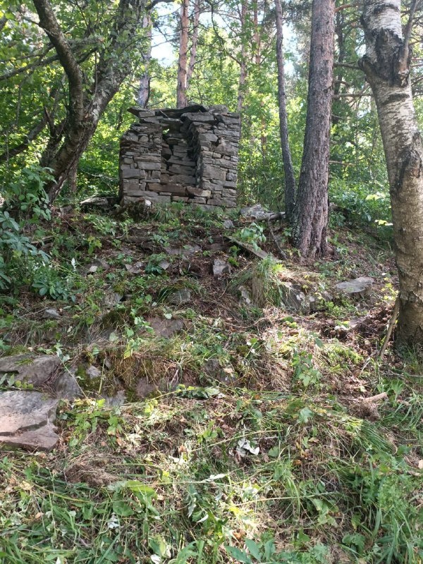 12 августа 2024 года в ходе проводимого обхода, сотрудники Джейрахско-Ассинского музея-заповедника в 1200 метров юго-восточнее башенного комплекса «Нижний Пуй», обнаружили ранее не учтенный объект – столпообразное святилище – цIув.

Столпообразные святилища – один из видов культовых сооружений из камня, которые воздвигались, согласно ингушскому фольклору, в месте, где молнией убило человека.

Заместитель директора компании «Наследие» Я. Гогиев отмечает, что данное столпообразное святилище отличается от группы подобных святилищ своими размерами – оно больше в размерах и стрельчатая ниша довольно глубокая и широкая. В прошлом это святилище венчала двухскатная пирамидально- ступенчатая крыша из сланцевых плит. На данный момент она полностью разрушена. В плане основание святилища прямоугольное.

Столпообразные святилища – наиболее многочисленная группа культовых памятников горной Ингушетии. В своем труде «Средневековые культовые памятники Центрального Кавказа» (Грозный, 1989, С. 89) Б. Мужухоев  пишет, что данная группа памятников относится к самому позднему времени строительства доисламских культовых памятников. Он считает их фамильными, объясняя причину того, что рядом у некоторых селений  стоят несколько столпообразных святилищ (в Эрзи – два, в Эгикале – три).

Памятник после проведения соответствующих работ, для обеспечения его целостности и сохранности, будет внесен в перечень выявленных объектов культурного наследия республики.