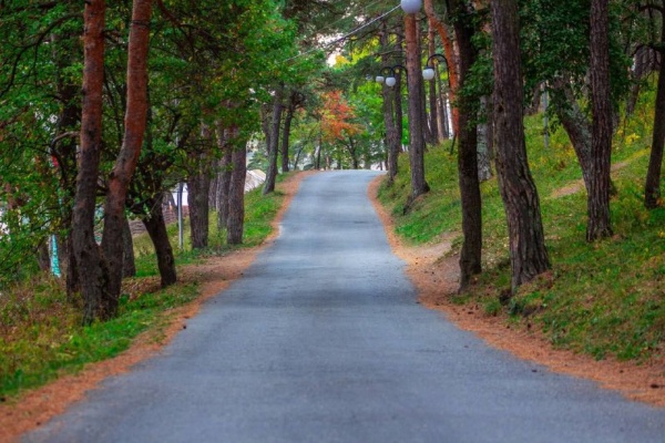 Сотрудники Джейрахско-Ассинского музея-заповедника примут участие в ежегодном, ставшем традиционным, шестом Марафоне Джейрах, который стартует в республике Ингушетия уже в это воскресенье, 22 сентября!

За шестилетнюю историю этого забега гостями республики стали более 1000 человек из более чем 100 городов России.

В 2024 году, в год празднования 100-летия Республики, Марафон Джейрах собирает рекордное количество гостей из 32 субъектов РФ и 66 городов.

Дистанции доступны, как для новичков, так и для профессионалов - от детских забегов на 500 метров, до классической марафонской дистанции в 42 километра.

300 участников забега устремятся ввысь по горным дорогам Джейрахского района чтобы увидеть самые красивые пейзажи асфальтового марафона страны!
