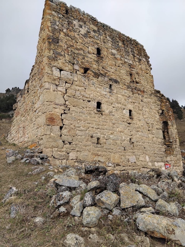 Сотрудники Джейрахско-Ассинского музея-заповедника совместно со специалистами проектной организации АСМ ГРУПП совершили инспекционную поездку в башенный комплекс «Нийкоате», где проходят плановые работы по выявлению, фиксации и учету всех объектов культурного наследия.  

Средневековое башенное поселение «Нийкоате» расположено в Джейрахском районе, восточнее «Ний» и севернее "Цизды",  административно входит в сельское поселение «Гули». На территории города-поселения имеется множество исторических объектов, это и жилые башни, мавзолеи, раннемусульманское кладбище, благоустроенный природный родник, руины каменных построек и др., которые, к сожалению, в силу объективных причин, не все состоят на государственном учете. И сегодня, как мы видим, проводится огромная работа по их восполнению. Состояние всех объектов аварийное.

Как известно, инвентаризация ОКН является одной из необходимых составляющих комплексного изучения памятников, она проводится с целью сохранения и популяризации объектов культурного наследия, а также для обеспечения их целостности.  В этом году аналогичная работа проведена на 30 башенных комплексах горной Ингушетии.
