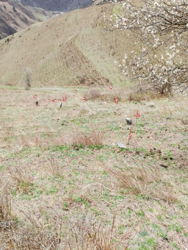 На территории башенного комплекса «Тярш» выявили ранее не учтенные ОКН.
 
В эти дни сотрудниками музея-заповедника, в рамках плана работ по выявлению и учету ранее неучтенных памятников архитектуры, на территории башенного комплекса «Таьрш» выявили раннее не учтенное раннемусульманское кладбище с 9 стелами. 
 
Тярш — крупный башенный поселок замкового типа, расположен на отроге горы Маьт-Лоам, в 0,9 км восточнее комплекса «Эгенты». 
          
Сотрудниками учреждения были проведены обмеры объектов, произведена фотофиксация. Высота стел от 30 до 50  см., расстояние между ними от 1 до 3 м.  После проведения соответствующих работ, объекты будут внесены в перечень выявленных объектов культурного наследия республики.