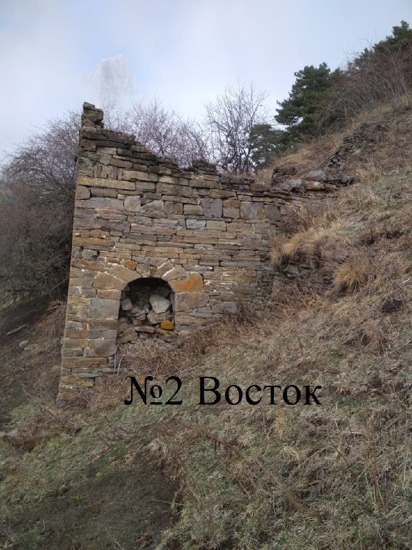 В 800 м. юго-восточнее Тумги находится небольшой, малоизвестный башенный комплекс замкового типа - Хашале, в составе которого имеются относительно хорошо сохранившиеся 1 полу боевая, 4 жилые башни, 1 склеповый могильник. 

Местные башни были зафиксированы и обследованы Чахкиевым Д.Ю. в 1980 г., который отмечает, что в комплексе имеются 4 башенного строения позднего средневековья с разнотипными конструктивными деталями и полуразрушенная коллективная усыпальница.

В нашем материале впервые дается описание пообъектного состава комплекса.

Полубоевая башня №1 -  размеры в основании ( 4*6 м.). Постройка трёхъярусная, частично разрушена, крыша отсутствует, на восточной стороне на втором и третьем ярусах имеются два входа-лаза, вход на первый ярус обвален. Северная сторона глухая, на западной и южной сторонах имеются отверстия-бойницы, также на южной стороне имеется руинированная пристройка с сохранением основания.

Жилая башня №2 -  размеры  в основании (7*14 м.) Постройка расположена по склону холма, разрушена и в крайне аварийном состоянии, северная сторона обвалена,  крыша отсутствует, на восточной стороне имеется арочный заваленный вход.

Жилая башня №3 -  размеры  в основании (4* 7м). Разрушенная и в крайне аварийном состоянии постройка, крыша отсутствует, на южной стороне сохранились арочный вход и лаз, последний расположен с левой стороны над входом.

Жилая башня №4 -  размеры  в основании (8*4 .м).  Частично разрушенная постройка, крыша отсутствует, с северной стороны заглублена в склон горы, на западной стороне один над другим расположены два арочных входа, с внутренней части южной стены расположены ниши-углубления и одно сквозное отверстие-лаз.

Жилая башня №5 -  размеры  в основании( 10*5 м.) Разрушенная и крайне аварийная постройка, крыша отсутствует, северная и восточная части разрушены до основания.

Склеповый могильник №6 -  размеры  в основании (3,30 *3,20 м.) Разрушенная и крайне аварийная постройка, расположена на склоне холма, крыша – пирамидально-ступенчатая, сохранилась  на половину, восточная и северная части склепа обвалены, на западной и северной стороне наличествуют лазы-отверстия.

Полевой материал. Публикуется в целях зашиты, сохранения и популяризации объектов культурного наследия.