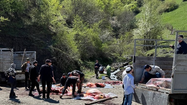 Сегодня   в сельском поселении Джейрах прошел  религиозный обряд "Саг1а". В мероприятии приняли участие более сотни человек, среди которых были  жители с.п. Джейрах, с. Армхи, с. Эзми, с. Чми и с. Тамариани. 

Более 1 500   килограмм  мяса  раздали за погибших палестинцев и тех,  кто прямо сейчас находится в тяжелом положении и борется за свою жизнь.