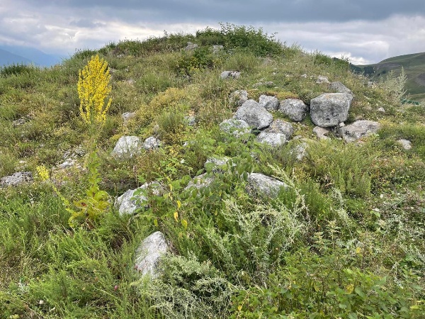 В последние годы археологи начали находить свидетельства существования древней цивилизации, существовавшей в Ингушетии задолго до письменной истории. Циклопические постройки — это сооружения из огромных нетёсаных каменных глыб безрастворной кладки горизонтального плана, древние каменные жилища. Циклопические сооружения считаются шедевром древней цивилизации — никто точно не знает, кто их построил и зачем.
Начало научного изучения мегалитических памятников на территории горной Ингушетии приходится на 20-30 гг. ХХ в. Именно в это время они изучались такими известными русскими учёными- кавказоведами как Л.П. Семёнов и Е.И. Крупнов.

В настоящее время на государственном учете как выявленные объекты культурного наследия состоят в архитектурном комплексе Таргим в количестве 14-ти построек, хотя на территории горной Ингушетии такие постройки ранее были обнаружены у селений Эгикал, Хамхи, Кхарт, Дошхакле, Тори, Озик, Кели, Кязи и др. В эти дни сотрудниками музея-заповедника началась огромная работа по установке на учет всех циклопических построек в горной Ингушетии как объектов культурного наследия. 

Нужно отметить, что среди ученных вопрос о датировке циклопических сооружений в течение многих лет остаётся дискуссионным. Проблема датировки мегалитических сооружений сегодня, как и раньше является актуальной.

Л.П. Семёновым и Е.И. Крупновым, после изучения ими остатков мегалитических построек в ингушских селениях Хамхи, Эгикал, Дошхакле, было сделано заключение, что данные циклопические дома-крепости принадлежат к эпохе скифов, т.е. VII-V вв. до н. э. «когда были крепкие родовые устои и все постройки возводились усилиями многочисленных членов рода». Мысль о древности циклопических памятников по фольклорной информации высказывает и ученый кавказовед Б.К. Далгат.

Однако в последнее время такие учёные как: С.Ц. Умаров, В. Б., Виноградов, В.И., Марковин,  изучавшие данные мегалитические сооружения в горной Ингушетии, называют другое время их возникновения XI-XIII вв. н.э. 

Наиболее оптимальным и приемлемым вариантом является датировка выдвинутая археологом М.Б. Мужухоевым. Им в конце 70-х начале 80-х гг. были произведены раскопки циклопических построек у средневековых башенных поселений Карт и Дошхакле. Сделав анализ на основе собранного материала, он даёт свою датировку II –I тыс. до н. э. Вместе с тем учёный высказывает и мнение о разновременности циклопических построек. Археолог В. И. Козенкова также считает возможным относить рассматриваемый тип каменных жилищ к 1 тыс. до н. э.

С происхождением этих громадных сооружении связано много легенд и преданий. Считалось, что мегалиты – дело рук великанов, которые, играючи, могли перекидывать камни с ладони на ладонь. У древних греков считалось, что эти огромные сооружения строили одноглазые мифические великаны- циклопы. Отсюда и название.

В сказаниях у ингушей также упоминаются великаны - вампалы, а среди них встречались и одноглазые исполины. Однако легенды или сказания не могут дать общее объективное объяснение тому, как и кем, строились, и самое главное, к какому периоду относится строительство данных построек. Отсутствие письменных свидетельств по этой проблеме затрудняют их изучение.