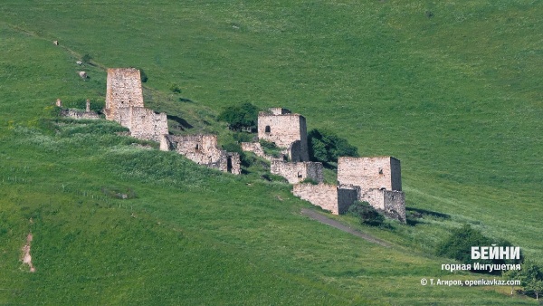 Башенный комплекс Бейни у подножия горы Маьт-Лоам. Он включает в себя полуруинированные или сильно поврежденные позднесредневековые одну полубоевую и 8 жилых башен с различными пристройками и каменными оборонительными стенами. Каждая башня входила в отдельный комплекс сооружений. Жилые башни с пристройками и стенами были сгруппированы по фамильным кварталам.

На стенах и дверных проемах у двух жилых башен можно видеть линейные петроглифы и тамги (кресты, триквестры, фигурки людей и пр.).

На северной окраине поселка Бейни, в обрывистых склонах горы Маьт-Лоам, расположены 4 малодоступных скальных убежища позднего средневековья, обширные пещеры с фасадными южными каменными стенами. Они аккуратно сложены на известковом связующем растворе и покрыты светло-желтой штукатуркой. В стенах устроены небольшие сводчатые дверной и оконные проемы. В этих убежищах во время угрозы вражеского нападения укрывалось небоеспособное население поселка Бейни.

На южной окраине поселка Бейни, на горном склоне, в довоенное время возвышался позднесредневековый храм-святилище Бейни-Сели с прямоугольным основанием и двускатно-ступенчатой крышей.

В эпоху позднего Средневековья башни Бейни предназначались для защиты окружающих селений от вражеских нападений, а также проживания знаменитых в этой местности родов. Традиционно, все башни окружены каменным ограждением. Боевая башня находится на самом верху комплекса и предназначена для его защиты. Согласно источникам, башенный комплекс Бейни был полностью покинут жителями во время выселения ингушского народа в 1944 году. 

В настоящее время башни находятся в наполовину разрушенном состоянии. Комплекс башен Бейни окружают альпийские луга, покрытые шелковой, изумрудной травой, в гуще которой скрываются чистейшие родники, а весной обширные поля зацветают потрясающе красивыми букетами.

История Бейни, основанного примерно в XVI веке, неразрывно связана с кровопролитными войнами тех времен. И хотя основным занятием обитателей этих мест было скотоводство, но всё же, обстоятельства вынуждали их постоянно оттачивать также свои оборонительные навыки. Об этом даже сохранилась легенда, которую из уст в уста пересказывают здешние жители. По народному преданию, некогда на месте с. Бейни было село Иоарх1аче - сорняки и жили тут Г1ам-наькъан - племя ведьм. Г1ам-наькъан отличались жестокостью и коварством.

И не было покоя от них никому. Основное их занятие было грабежи и разбои. Для набегов и ведения войны в условиях гор этот род имел 63 всадника-воина. Г1ам-наькъан уводили скот у соседних племен.

Горцы долго терпели бесчинства людей племени-ведьм. Но пришёл день, когда соседям надоело их коварство, и они решили хитростью искоренить сильный род грабителей. Братья Дзарах, Марзбик, Шовхал из села Фалхан, скрыв истинные свои намерения, пригласили на пир мужчин их рода и отравили.

Только двое мужчин из их рода остались живыми - они в то время были в отъезде. Племя Г1ам-наькъан было сломлено и оставшиеся женщины, и дети покинули эти места.

Так исчезло село Йоарх1аче и со временем на этом месте возник аул Бейни. Старожилы говорят, что село свое новое название получило от убитых Г1ам-наькъан, т.е. от мертвых – «Бейнараш» - Бейни, а рядом лежащее другое село стали называть Кашат1е (Кашиети) - место их захоронения.
