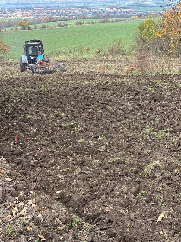 В питомнике Сунженского лесничества завершена подготовка 2 га почвы для будущих лесов.

Спецтехника провела вспашку и нарезку борозд - теперь семенам будет легче укорениться и пойти в рост.

Участок обладает плодородной почвой и идеальными условиями для роста растений.

Все работы выполнены силами сотрудников Сунженского и Назрановского лесопожарных центров. 

Теперь начинается этап выращивания посадочного материала для новых лесов республики.
