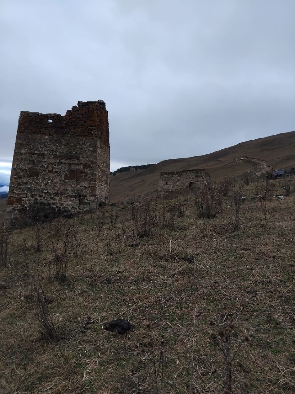 Сотрудники музея-заповедника совершили обход башенного комплекса «Анкоате».

Анкоате – средневековое башенное поселение восточнее Нийкоате. Сегодня в нем можно наблюдать две трёхъярусные жилые башни с различными конструктивными деталями, в частности, в одной из башен на уровне второго этажа сохранились остатки каменного камина.

Недалеко от поселка, в черте мусульманского кладбища расположена интересная стела с петроглифами. 

Находится в границах территории Джейрахско-Ассинского музея-заповедника.  Включен в перечень выявленных объектов культурного наследия республики, подлежит государственной охране.

По результатам проведенных полевых работ будут составлены акты технического состояния комплекса и направлены в вышестоящие организации.