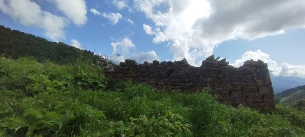 И.о. директора Джейрахско-Ассинского музея-заповедника А. Сампиев совершил инспекционную поездку в башенный комплекс «Гвези», расположенному в восточной части Гулойхийского ущелья Джейрахского района, пограничной зоне, в 400 метрах юго-восточнее «Кашети», на крутом горном склоне.

Лишь одна жилая башня комплекса сохранилась на высоту одного этажа, остальные постройки находятся в разрушенном состоянии. В черте поселка располагаются пять подземных коллективных склеповых гробниц и некрополь из каменноящичных захоронений.  На жилой башне комплекса, на арочном камне входного проема имеются петроглифы, в виде 3 отпечаток кистей рук – двух больших и одной маленькой.

Комплекс малоизвестен, редко посещаем и труднодоступен. Рядом расположены небольшие средневековые башенные поселения «Агутыр», «Кашети», «Оасег».

Летом прошлого года между поселениями Гвези и Агутыр было обнаружено кладбище с 13 надмогильными стелами и 5 раннемусульманскими могилами.