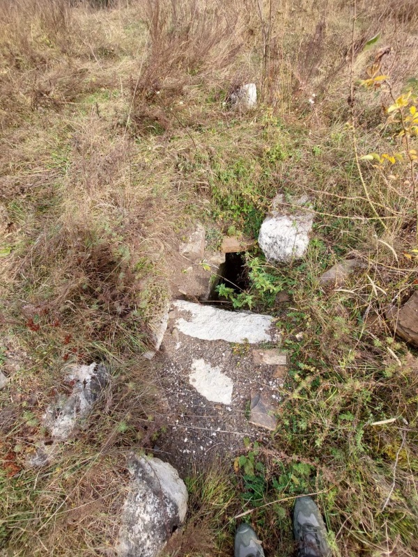 На территории комплекса "Тумги" обнаружен, ранее не учтенный, склеп подземного типа.

Уместно отметить, что некоторые разрушенные, руинированные или подземные сооружения можно обнаружить только зимой и ранней весной, когда отсутствует растительный покров.  

К вышеперечисленным объектам относится, недавно обнаруженный, во время инспекторского обхода, севернее полубоевой башни № 1 башенного комплекса «Тумги»,  склеп подземного типа, состояние которого визуально определяется как удовлетворительное. Обнаруженный объект в основании имеет размеры 2х3 м, входной лаз прямоугольного типа.

Мы говорим обнаруженный, потому что в сформированных списках учреждения – выявленных объектов культурного наследия – этот объект не числится.  

Мы допускаем, что каждый из тех, кто посещал этот комплекс не раз проходил мимо этого склепа, не подозревая, что он может представлять какой-то интерес, а первоочередной задачей музея-заповедника, в рамках плановых работ, является фиксация и учет таких объектов.  

И еще, как мы отмечали раннее, неизведанность этих склепов заключается в том, что раньше жители этой местности, из религиозных соображений засыпали их землей, или камнями прикрывали входное отверстие в них. Так на территории комплекса в ходе проведенных комплексных научных исследований специалистами «АСМ Групп» были выявлены конструкции каменных оснований жилых башен и древние склепы с антропологическими артефактами, а также завершена реставрация 8-ми объектов культурного наследия. Восстановительные работы коснутся 34-х объектов комплекса.