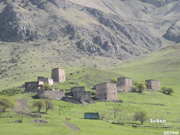 Башенный комплекс Бейни у подножия горы Маьт-Лоам. Он включает в себя полуруинированные или сильно поврежденные позднесредневековые одну полубоевую и 8 жилых башен с различными пристройками и каменными оборонительными стенами. Каждая башня входила в отдельный комплекс сооружений. Жилые башни с пристройками и стенами были сгруппированы по фамильным кварталам.

На стенах и дверных проемах у двух жилых башен можно видеть линейные петроглифы и тамги (кресты, триквестры, фигурки людей и пр.).

На северной окраине поселка Бейни, в обрывистых склонах горы Маьт-Лоам, расположены 4 малодоступных скальных убежища позднего средневековья, обширные пещеры с фасадными южными каменными стенами. Они аккуратно сложены на известковом связующем растворе и покрыты светло-желтой штукатуркой. В стенах устроены небольшие сводчатые дверной и оконные проемы. В этих убежищах во время угрозы вражеского нападения укрывалось небоеспособное население поселка Бейни.

На южной окраине поселка Бейни, на горном склоне, в довоенное время возвышался позднесредневековый храм-святилище Бейни-Сели с прямоугольным основанием и двускатно-ступенчатой крышей.

В эпоху позднего Средневековья башни Бейни предназначались для защиты окружающих селений от вражеских нападений, а также проживания знаменитых в этой местности родов. Традиционно, все башни окружены каменным ограждением. Боевая башня находится на самом верху комплекса и предназначена для его защиты. Согласно источникам, башенный комплекс Бейни был полностью покинут жителями во время выселения ингушского народа в 1944 году. 

В настоящее время башни находятся в наполовину разрушенном состоянии. Комплекс башен Бейни окружают альпийские луга, покрытые шелковой, изумрудной травой, в гуще которой скрываются чистейшие родники, а весной обширные поля зацветают потрясающе красивыми букетами.

История Бейни, основанного примерно в XVI веке, неразрывно связана с кровопролитными войнами тех времен. И хотя основным занятием обитателей этих мест было скотоводство, но всё же, обстоятельства вынуждали их постоянно оттачивать также свои оборонительные навыки. Об этом даже сохранилась легенда, которую из уст в уста пересказывают здешние жители. По народному преданию, некогда на месте с. Бейни было село Иоарх1аче - сорняки и жили тут Г1ам-наькъан - племя ведьм. Г1ам-наькъан отличались жестокостью и коварством.

И не было покоя от них никому. Основное их занятие было грабежи и разбои. Для набегов и ведения войны в условиях гор этот род имел 63 всадника-воина. Г1ам-наькъан уводили скот у соседних племен.

Горцы долго терпели бесчинства людей племени-ведьм. Но пришёл день, когда соседям надоело их коварство, и они решили хитростью искоренить сильный род грабителей. Братья Дзарах, Марзбик, Шовхал из села Фалхан, скрыв истинные свои намерения, пригласили на пир мужчин их рода и отравили.

Только двое мужчин из их рода остались живыми - они в то время были в отъезде. Племя Г1ам-наькъан было сломлено и оставшиеся женщины, и дети покинули эти места.

Так исчезло село Йоарх1аче и со временем на этом месте возник аул Бейни. Старожилы говорят, что село свое новое название получило от убитых Г1ам-наькъан, т.е. от мертвых – «Бейнараш» - Бейни, а рядом лежащее другое село стали называть Кашат1е (Кашиети) - место их захоронения.