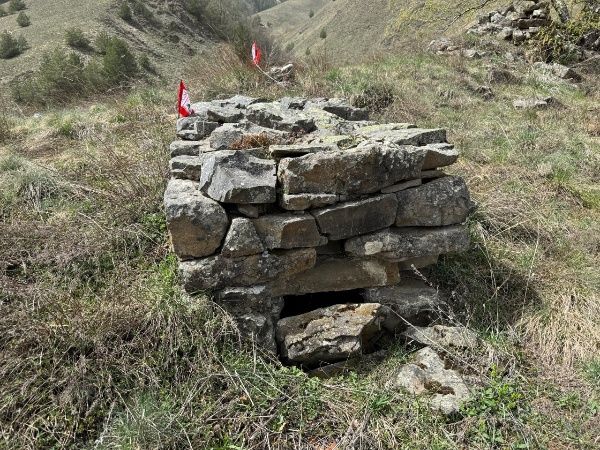 Башенный комплекс «Аршауг» расположен в Джейрахском районе, в 0,3 км западнее Цори, на гребне горного кряжа, высотой 40-50 метров.

Комплекс состоит из сильно поврежденных и полуразрушенных 1 боевой и 7 жилых башен, а также каменной ограды, 6 надгробных сооружений, 2 оборонительных стен, 3 коллективных усыпальниц, стел и руин каменных построек.

Боевая и жилые башни ранее, с помощью каменной оборонительной стены, были объединены в единый замковый комплекс периода позднего средневековья.

Боевая башня в плане прямоугольная, пятиэтажная, имела плоскую кровлю с зубчатым завершением, сохранилась на всю высоту, ориентирована на запад.

Жилые башни в основании прямоугольные, некогда трехэтажные, с плоской кровлей и высоким парапетом. На них сохранились разнотипные дверные и оконные проемы, линейные углубления для деревянных настилов, а также ниши, тайнички и другие конструктивные детали.

С холма, на которой расположен Аршауг открывается живописный вид на башенный комплекс Цори.

Аршауг – выявленный объект культурного наследия республики Ингушетии, находится в границах территории Джейрахско-Ассинского музея-заповедника, подлежит государственной охране.

