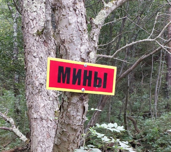 Специалисты "АСМ Групп" поднялись на супертруднодоступный башенный комплекс "Кокки" в горной Ингушетии и начали полномасштабные исследования по уникальному средневековому комплексу, взорванному царскими войсками в 1910 году. Особая благодарность всем выходцам из комплекса "Кокки" за помощь на маршруте и очистку башен от травы и кустарников.

В результате работ выявлено 8 жилых и 1 боевая башни, 2 склепа и 8 стел.