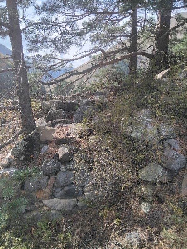 Сотрудники музея-заповедника совершили инспекционную поездку к наблюдательной башне Зем-г1ала.

Сторожевая башня «Зем-г1ала», находится в ущелье Гулой-хи, в 500 м юго-западнее башенного комплекса «Вовнушки»,   состояние руинированное, ранее была двухэтажная с хозяйственной пристройкой. Со слов местных жителей, имела наблюдательные функции.
Название Зем-г1ал, означает дословно «наблюдательная». От слова «Зем (б), — внимание, наблюдение.

Башня эта, судя по всему, была одним из звеньев мощной сигнально-оборонительной системы древней Ингушетии.