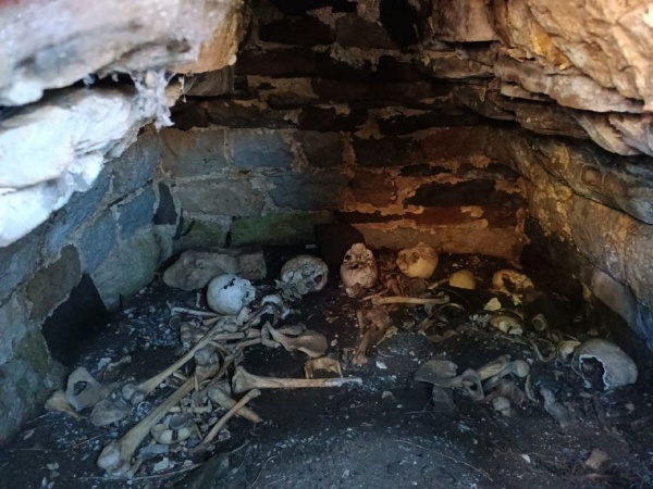 Сотрудники музея-заповедника, в ходе совершенного планового обхода, в 150 метрах к востоку от башенного комплекса «Новый Евли» обнаружили, не учтенный в перечне выявленных объектов культурного наследия, подземный склеп. 

Новый Евлои расположен в 0,5 км юго-западнее Старого Евлоя. Сегодня здесь отмечаются сильно поврежденные 1 боевая и 5 жилых башенных сооружения, которые каменной стеной объединены в единый комплекс.

Выявленный объект имеет почти квадратное основание – 200х230 см, изнутри сложен из нетёсаных камней, на извести. Вход в могильник наполовину прикрыт каменной плитой, содержит в себе костные останки, сохранность удовлетворительная.

Склеп – это надземное, полуподземное или подземное помещение, предназначенное для захоронения умерших, были вызваны к жизни в высокогорной местности из-за острого недостатка земли. Располагались преимущественно на склонах гор. Ингуши называли склепы «маьлха каш» - солнечные могилы.

Обыкновенно склепы расположены группой на окраине селения, образуя как бы особый город мертвых, но чаще они разбросаны близ селения в нескольких местах. Сложены они из нетесаных камней, на извести, имеют желтую облицовку и в каждом ярусе лазы (со сторонами около 0,5 м), через которые втаскивали покойников. Лаз прикрыт деревянной доской или каменной плитой. Ориентированы склепы по сторонам света углами или стенами. Высота склепов колеблется от 3-4 до 5-6 метров, в основании длина сторон варьирует от 2 до 4 метров.

В зависимости от числа ярусов лазы располагаются по всем сторонам склепа, служа входом в каждый ярус, также в стенах нередко встречаются маленькие сквозные отверстия, обеспечивающие вентиляцию. Сбоку лаза или над ним нередко бывает укреплена просверленная каменная плита; иногда она заменялась двумя камнями, образующими между собою щель.

По сообщению некоторых жителей, в это отверстие в старину вставлялся при совершении похорон шест с белым флагом, который оставался на склепе до тех пор, пока не истлевал. Довольно часто на облицовке склепов встречаются отпечатки кистей рук, как резонно предполагают, строителя склепа.

По выявленному объекту – подземному склепу, для обеспечения его целостности и сохранности будут представлено заявление в Комитет Государственной охраны объектов культурного наследия о включении его в перечень выявленных объектов культурного наследия республики.