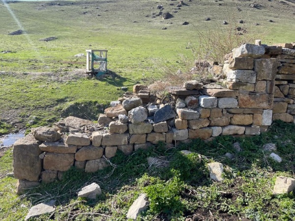 Горная Ингушетия не перестает удивлять нас своими открытиями и своей загадочностью.   Как мы отмечали ранее, на территории Джейрахского района расположено свыше 3000 объектов культурного наследия, которые официально стоят на учете и включены в перечень выявленных ОКН Республики Ингушетия, они имеют название, порядковый номер, определены их локации-месторасположение. Также в нашей базе данных имеются фотографии этих объектов.

Практически ежедневно наши сотрудники, работающие в горной местности, обнаруживают новые объекты, отсутствующие в наших списках.
Не так давно мы начали комплексную работу по инвентаризации памятников старины, и надо отметить, результативность и плодотворность этой работы: только за прошлый год инспекторами музея-заповедника было обнаружено свыше 200 ОКН, не состоящих на учете.

Отдельная работа была проведена по склепам с поминальными камерами, склепами редкого типа, башням, святилищам и ядрообразным мавзолеям. Был проведен мониторинг этих объектов, составлены акты их технического состояния.

В результате последнего совершенного обхода, начальником отдела по обеспечению сохранности памятников,  Зяудином Гуражевым, на территории башенного комплекса «Ний» было обнаружено святилище с поминальной камерой, называемой в народе, ц1ув.

Объект сильно разрушен, сохранность его составляет 25-30 %. Как и у всех аналогичных святилищ, вход в поминальную камеру находится с южной стороны, он полуразрушен. Крыша не сохранилась, обычно такие виды строений имели двускатно-ступенчатую кровлю. Более сохранившаяся часть объект – это первый ярус, предназначавшийся для захоронения умерших. Расположено святилище  в северо-западной части комплекса, на расстоянии 4 метров от жилой башни, рядом с небольшим ручейком.

Объект будет внесен в базу данных учреждения и включен в список выявленных ОКН Республики Ингушетия.