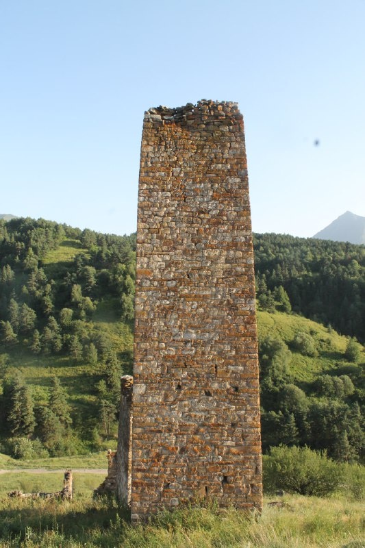 Историко-архитектурный комплекс «Пялинг» состоит из нижнего Пялинга и верхнего Пялинга. Название свое получил от речки, в долине которой он расположен.

Нижний Пялинг - мощный замковый комплекс на выступе скалы у левого берега речки,  включает в себя полу-руинированные боевую и 7 жилых башен с хозяйственными пристройками, с оборонительной стеной по наружному периметру, а внутри со сложной системой проходов с бойницами.

Верхний Пялинг – крупный историко-архитектурный комплекс, расположен, также как и нижний Пялинг, под хребтом Цорей – Лоам в 1,3 км северо-восточнее Тиш-Евли. Здесь сравнительно хорошо сохранились 4 боевые и полуразрушенные 16 жилых башен с хозяйственными и оборонительными пристройками, объединенные оборонительными стенами в мощный замковый комплекс, где каждая боевая башня в отдельном замковом комплексе. 

На горном склоне расположены три полуразрушенные коллективные  склеповые могильники размерами 2,5 х 3,7м, заглубленные в горный склон. Все три склепа сложены аккуратно на известковом растворе.

На северо-восточной окраине верхнего Пялинга, на массивной скале стоит полуразрушенное святилище высотой 1,5м. По преданию это столпообразное святилище выло построено на том месте, где молнией был убит человек. А севернее Верхнего Пялинга есть культовое место, посвященное языческому божеству «Елта».

Является объектом культурного наследия регионального значения, находится в границах территории Джейрахско-Ассинского музея-заповедника и подлежит государственной охране.