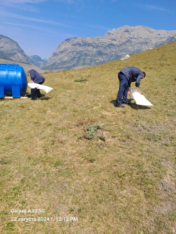 Сотрудники Джейрахско-Ассинского музея-заповедника провели субботник на территориях архитектурных комплексов «Хамхи» и «Средний Хайрах». Работниками был собран и вывезен весь мусор с комплексов и приведена в соответствующее санитарное состояние прилегающая территория комплексов.

Пользуясь случаем, призываем всех жителей соблюдать чистоту и порядок на заповедной территории. Берегите наше культурное наследие!!!