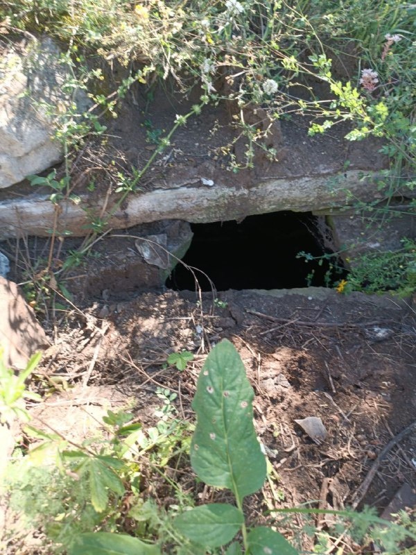 Сотрудники музея-заповедника, в ходе совершенного планового обхода, в 150 метрах к востоку от башенного комплекса «Новый Евли» обнаружили, не учтенный в перечне выявленных объектов культурного наследия, подземный склеп. 

Новый Евлои расположен в 0,5 км юго-западнее Старого Евлоя. Сегодня здесь отмечаются сильно поврежденные 1 боевая и 5 жилых башенных сооружения, которые каменной стеной объединены в единый комплекс.

Выявленный объект имеет почти квадратное основание – 200х230 см, изнутри сложен из нетёсаных камней, на извести. Вход в могильник наполовину прикрыт каменной плитой, содержит в себе костные останки, сохранность удовлетворительная.

Склеп – это надземное, полуподземное или подземное помещение, предназначенное для захоронения умерших, были вызваны к жизни в высокогорной местности из-за острого недостатка земли. Располагались преимущественно на склонах гор. Ингуши называли склепы «маьлха каш» - солнечные могилы.

Обыкновенно склепы расположены группой на окраине селения, образуя как бы особый город мертвых, но чаще они разбросаны близ селения в нескольких местах. Сложены они из нетесаных камней, на извести, имеют желтую облицовку и в каждом ярусе лазы (со сторонами около 0,5 м), через которые втаскивали покойников. Лаз прикрыт деревянной доской или каменной плитой. Ориентированы склепы по сторонам света углами или стенами. Высота склепов колеблется от 3-4 до 5-6 метров, в основании длина сторон варьирует от 2 до 4 метров.

В зависимости от числа ярусов лазы располагаются по всем сторонам склепа, служа входом в каждый ярус, также в стенах нередко встречаются маленькие сквозные отверстия, обеспечивающие вентиляцию. Сбоку лаза или над ним нередко бывает укреплена просверленная каменная плита; иногда она заменялась двумя камнями, образующими между собою щель.

По сообщению некоторых жителей, в это отверстие в старину вставлялся при совершении похорон шест с белым флагом, который оставался на склепе до тех пор, пока не истлевал. Довольно часто на облицовке склепов встречаются отпечатки кистей рук, как резонно предполагают, строителя склепа.

По выявленному объекту – подземному склепу, для обеспечения его целостности и сохранности будут представлено заявление в Комитет Государственной охраны объектов культурного наследия о включении его в перечень выявленных объектов культурного наследия республики.