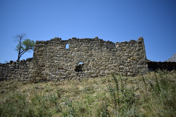 Сотрудники музея-заповедника провели мониторинг средневекового башенного комплекса «Мецхал». 

Мецхал — крупный башенный поселок замкового типа на отроге горы Мат-Лам, в 0.7 км северо-восточнее Фалхана. Поселок состоял из 2-х обособленных, но тесно взаимосвязанных, мощных башенных замковых комплексов Точиевых и Котиевых. 

В настоящее время, в ходе проведенного мониторинга по учету и фиксации объектов культурного наследия, а также оценки их технического состояния, сотрудниками было зафиксировано 19 жилых башен, 2 заградительные стены, 1 мечеть, 2 надгробных сооружения, 2 оборонительные стены, 1 полубоевая башня, 3 родника, 6 склепов, 40 стел, 4 хозяйственные постройки и 7 руин каменных построек. 

Все объекты комплекса находятся в неудовлетворительном состоянии, им требуются срочные противоаварийные и восстановительные работы. В целом на всех сооружениях наблюдаются глубокие сквозные трещины, подмыв оснований, вывал кладки камней. 

В результате проведенных полевых работ, на все ОКН комплекса составлены акты технического состояния, которые будут использованы в дальнейшей работе. 