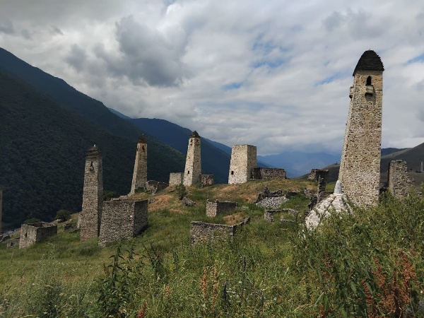 В рамках плана работы по визуальному осмотру технического состояния объектов культурного наследия,  была совершена инспекционная поездка к архитектурному комплексу «Эрзи».

Башенный комплекс Эрзи (Аьрзи) — один из крупнейших средневековых башенных поселков замкового типа, расположенный на оконечности горного кряжа, включающий полсотни небольших жилых башен, две полубоевые башни, 8 боевых башен и протяженную каменную оборонительную стену с широкими воротами позднего средневековья. Боевые башни 5 и 6-этажные. Также на территории комплекса видны останки каменных стен, некогда преграждающих путь недругам. Этажность башен начинается от четырех и заканчивается шестью уровнями. Эрзи в переводе с ингушского — «орел».

У подножия комплекса Эрзи находится купольный мавзолей Янд-Каш, то есть Яндова –могила. Здесь захоронен Янд строитель башен - известный каменный зодчий всех времён, живший в XVII веке. В мавзолее хранилась реликвия, давшая этому селу такое имя - бронзовый Орёл Сулеймана. Вернее, для ингушей он был просто Орлом, а имя мастера Сулеймана, равно как и дату изготовления, определили уже кавказоведы, обнаружившие, что птичка окольцована надписью на арабице. Вокруг фигуры орла началась дискуссия ученых, спорили относительно даты его изготовления, даты его появления в горах Ингушетии, его предназначения и т.д. Орёл был изготовлен в 796 году, скорее всего в Басре, и является древнейшим точно датированным предметом исламского искусства Ближнего Востока. Как попал он сюда - никто теперь не скажет: может, был захвачен горцами в каком-нибудь караване, а может был подарен персами в знак мира.

Для Ингушетии он стал одним из национальных символов. Долгие годы этот орел находился в Эрмитаже, ингуши долго требовали вернуть Орла домой, куда вывезли его ещё в 1931 году. В итоге в Петербурге была изготовлена копия, в 2013 году ее разместили в краеведческом музее им. Т. Мальсагова, в Назрани.

Комплекс Аьрзи исторически входит в Мецхальское общество.

В рамках выполнения государственного контракта по реставрации памятников, за 2012-2017 гг. на комплексе были проведены восстановительные работы, что позволило их сохранить для потомков и приспособить для музейного показа.  