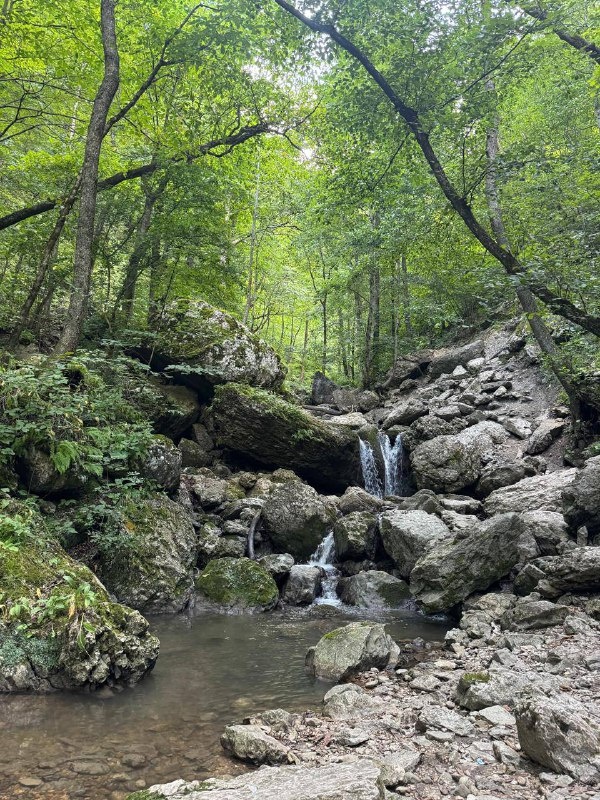 Национальный портал путешествий открыл новый туристический маршрут по Ингушетии «В стране башен и легенд».

Путешествие начнется со столицы Республики - города Магас. Маршрут будет включать знаковые исторические точки: замковый комплекс Вовнушки, ставший финалистом конкурса «Семь чудес России», Таргимскую котловину с башенными ансамблями Эгикал, Хамхи и Таргим, Тхаба-Ерды – один из древнейших христианских храмов на территории России, а также Цей-Лоамский перевал, где открываются виды на гору Казбек и Джейрахский каньон. Путешествие можно будет закончить отдыхом на всесезонном курорте «Армхи».