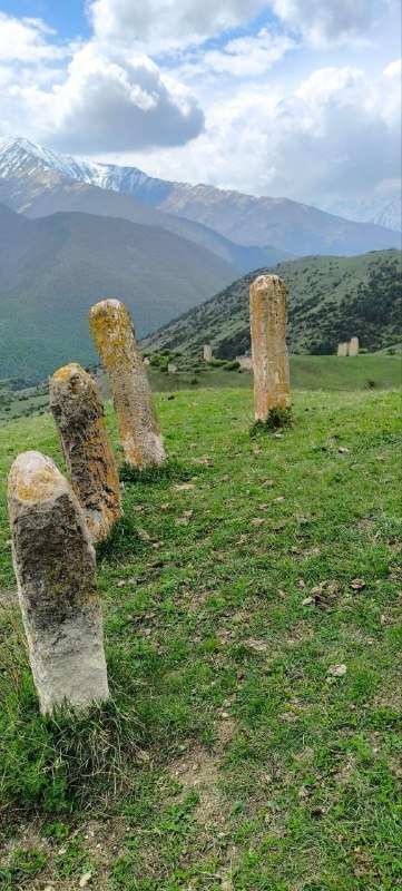 По пути из башенных поселений Мецхала в Гаракх, в полукилометре восточнее Фалхана, на гребне холма расположены 4 стелы. Это место в народе до сих пор так и называется: "Ди1 чурт даг1ач".

Примечателен тот факт, что, несмотря на кажущуюся аналогичность, стелы имеют разную высоту от 1 до 1.6 метра. Интересно, что на одной из стел видны остатки высеченного рисунка, в виде башни, и элементов орнамента. Так же имеются остатки арабской вязи.

По преданиям, в старину, у жителей окрестных сел это место считалось благодатным. Здесь собирались жители близлежащих поселений для примирения сторон и решения общественно-значимых вопросов.  

Чуть дальше от стел, в сторону Мецхала находится одинокая могила старушки - целительницы из Гаракха, из рода Джаниевых. Передается что она, несмотря на уговоры родственников быть похороненной на родовом кладбище, завещала похоронить ее здесь, из-за благодати данного места.