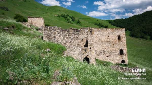Башенный комплекс Бейни у подножия горы Маьт-Лоам. Он включает в себя полуруинированные или сильно поврежденные позднесредневековые одну полубоевую и 8 жилых башен с различными пристройками и каменными оборонительными стенами. Каждая башня входила в отдельный комплекс сооружений. Жилые башни с пристройками и стенами были сгруппированы по фамильным кварталам.

На стенах и дверных проемах у двух жилых башен можно видеть линейные петроглифы и тамги (кресты, триквестры, фигурки людей и пр.).

На северной окраине поселка Бейни, в обрывистых склонах горы Маьт-Лоам, расположены 4 малодоступных скальных убежища позднего средневековья, обширные пещеры с фасадными южными каменными стенами. Они аккуратно сложены на известковом связующем растворе и покрыты светло-желтой штукатуркой. В стенах устроены небольшие сводчатые дверной и оконные проемы. В этих убежищах во время угрозы вражеского нападения укрывалось небоеспособное население поселка Бейни.

На южной окраине поселка Бейни, на горном склоне, в довоенное время возвышался позднесредневековый храм-святилище Бейни-Сели с прямоугольным основанием и двускатно-ступенчатой крышей.

В эпоху позднего Средневековья башни Бейни предназначались для защиты окружающих селений от вражеских нападений, а также проживания знаменитых в этой местности родов. Традиционно, все башни окружены каменным ограждением. Боевая башня находится на самом верху комплекса и предназначена для его защиты. Согласно источникам, башенный комплекс Бейни был полностью покинут жителями во время выселения ингушского народа в 1944 году. 

В настоящее время башни находятся в наполовину разрушенном состоянии. Комплекс башен Бейни окружают альпийские луга, покрытые шелковой, изумрудной травой, в гуще которой скрываются чистейшие родники, а весной обширные поля зацветают потрясающе красивыми букетами.

История Бейни, основанного примерно в XVI веке, неразрывно связана с кровопролитными войнами тех времен. И хотя основным занятием обитателей этих мест было скотоводство, но всё же, обстоятельства вынуждали их постоянно оттачивать также свои оборонительные навыки. Об этом даже сохранилась легенда, которую из уст в уста пересказывают здешние жители. По народному преданию, некогда на месте с. Бейни было село Иоарх1аче - сорняки и жили тут Г1ам-наькъан - племя ведьм. Г1ам-наькъан отличались жестокостью и коварством.

И не было покоя от них никому. Основное их занятие было грабежи и разбои. Для набегов и ведения войны в условиях гор этот род имел 63 всадника-воина. Г1ам-наькъан уводили скот у соседних племен.

Горцы долго терпели бесчинства людей племени-ведьм. Но пришёл день, когда соседям надоело их коварство, и они решили хитростью искоренить сильный род грабителей. Братья Дзарах, Марзбик, Шовхал из села Фалхан, скрыв истинные свои намерения, пригласили на пир мужчин их рода и отравили.

Только двое мужчин из их рода остались живыми - они в то время были в отъезде. Племя Г1ам-наькъан было сломлено и оставшиеся женщины, и дети покинули эти места.

Так исчезло село Йоарх1аче и со временем на этом месте возник аул Бейни. Старожилы говорят, что село свое новое название получило от убитых Г1ам-наькъан, т.е. от мертвых – «Бейнараш» - Бейни, а рядом лежащее другое село стали называть Кашат1е (Кашиети) - место их захоронения.