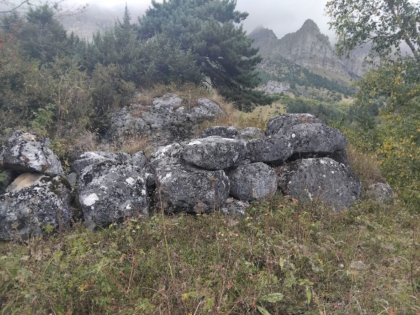 И.о. директора Джейрахско-Ассинского музея-заповедника Ахмедхан Сампиев совместно с сотрудниками совершил обход башенного комплекса «Дошхакле», где очень скоро начнутся подготовительные работы, направленные на сохранение объектов культурного наследия.  

Башенный комплекс Дошхакле — башенное поселение замкового типа на отроге горы Цей-Лам в Галгаевском ущелье высокогорной Ингушетии. Сейчас в нем фиксируется сильно повреждённая шестиэтажная боевая башня в комплексе с 8-ю полуруинированными жилыми башенными сооружениями и каменной оборонительной стеной позднего средневековья.

Боевая башня, находящаяся в центре замка, в плане квадратная, достигала 28 метровой высоты и имела ступенчато-пирамидальную крышу, которая была буквально срезана в результате удара молнии в 1958 году. Своим сводчатым дверным проемом, ведущим сразу на второй этаж, она ориентирована на юго-восток. Жилые башни замкового комплекса в плане прямоугольные или трапециевидные, располагали 2—3 этажами, плоской крышей с высоким парапетом. В их сохранившихся частях стен можно видеть разнотипные сводчатые дверные и оконные проемы, хозяйственные и оборонительные ниши, бойницы, камни-коновязи и прочие конструктивные детали. Одна из башен была искусно приспособлена под оружейную мастерскую, в которой местные многоопытные ремесленники изготовляли качественные сабли, шашки, кинжалы и разносортный порох.

В 1,5 км западнее поселка Дошхакле, на южном склоне фиксируется уже полуруинированный крупный храм-святилище «Дяла» позднего средневековья. На территории комплекса также имеются циклопические сооружения.

По результатам проведенных работ будут составлены акты технического состояния объектов и направлены в вышестоящие организации.
