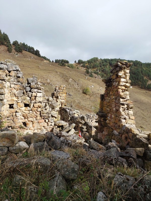 В рамках продолжающейся Программы по выявлению объектов культурного наследия Ингушетии, специалисты "АСМ Групп" исследовали средневековый башенный комплекс "Нийкоте". Из 91 объекта зафиксированного архитекторами особо выделяются 1 полубоевая и 11 жилых башен. До проведения работ в реестре числилось только 72 объекта.

Партнеры проекта - Благотворительные фонды "САФМАР" и "Возрождение".
