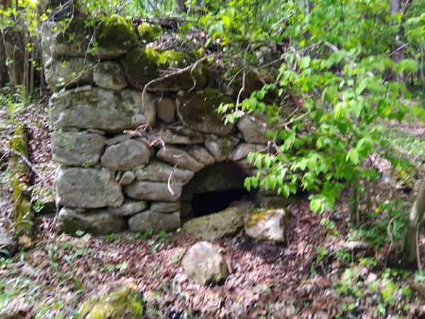 В эти дни сотрудниками Джейрахско-Ассинского музея-заповедника была совершена инспекционная поездка в Средний Оздик.

В 300-400 м. юго-западнее комплекса, в лесном массиве имеется неучтенный небольшой городок наземных, подземных и полуподземных склепов, по предварительной информации, насчитывающий 22 объекта.        

На следующем этапе, сотрудниками будут произведены обмеры, фотофиксация и инвентаризация этих объектов для обеспечения их сохранности и целостности. 

Также они подлежат дальнейшим исследованиям с привлечением сотрудников компетентных учреждений.   