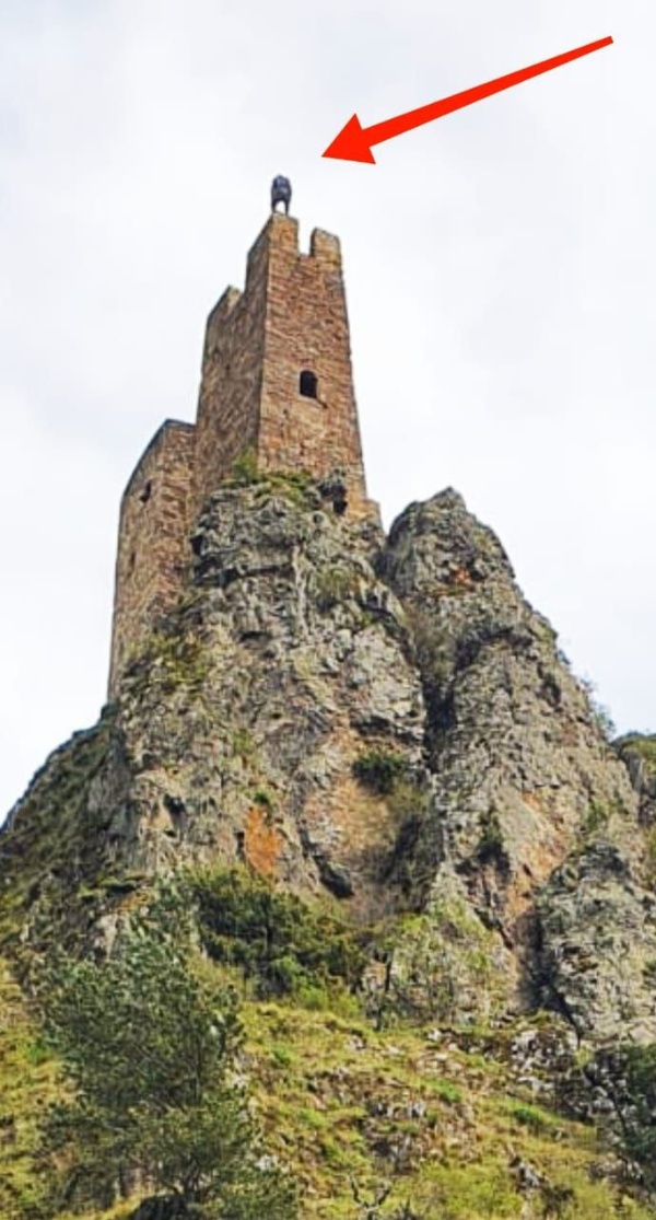 Сегодняшний материал мы хотим посвятить такому малоприятному явлению, как вандализм в горах. Под вандализмом понимают акты разрушительного поведения человека, в ходе которого уничтожаются или оскверняются предметы искусства, культуры.

К большому сожалению приходится констатировать, что сотрудниками музея-заповедника неоднократно фиксируются случаи вандализма в горной местности.

Несмотря на то что, мы в своей работе неоднократно напоминаем посетителям горной местности о хрупкости памятников, о том, что мы своими противоправными действиями наносим памятникам непоправимый ущерб, многие упрямо игнорируют замечания и взбираются на некоторые объекты, которые и так находятся под угрозой обрушения, наносят на них надписи, разводят костры в неположенном месте, оставляют за собой мусор и т.д.

Мы, в рамках своей работы, проводили ознакомительные беседы с учащимися СОШ республики, рассказывали про правила посещения горной местности, о необходимости соблюдения чистоты и порядка на территории памятников, но мы и предположить не могли, что есть необходимость объяснять такие вещи взрослым людям.

Памятники истории и культуры – это память наших предков, это наша историческая родина, это, наконец, достояние всего ингушского народа, поэтому у нас нет морального права не только на ее уничтожение, осквернение, у нас нет права даже на ее забвение.

Поэтому, пользуясь случаем, как мы осуждаем тех, кто оскверняет память предков, мы также благодарим всех, кто осознанно относится к памятникам старины, всех, кто, проявляя активную гражданскую позицию, проводят субботники в горной местности, занимаются вырубкой нежелательной растительности и приводит за собой в надлежащее санитарное состояние территорию заповедника.

Как мы неоднократно говорили, памятники истории и культуры находятся под охраной государства. Лица, причинившие вред объекту культурного наследия, несут в соответствии с законодательством РФ уголовную, административную и иную ответственность.

Хочется также напомнить некоторым правонарушителям, что помимо установленных камер видеонаблюдения, многие комплексы защищены «фотоловушками», которые дают безошибочную возможность их распознавания.

В связи с этим, в рамках своей работы, мы предупреждаем, что фотографии следующих нарушителей на огромном баннере, мы будем вывешивать при въезде в Джейрахский район, а также будем их размещать на своем телеграм-канале и на официальном сайте учреждения, и у них будет уникальная возможность «прославить» себя на всю республику.