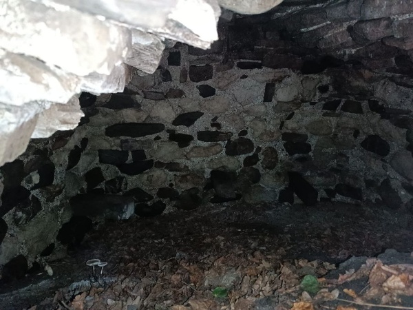 17 августа в ходе очередного осмотра, сотрудниками музея-заповедника на территории архитектурного комплекса «Верхний Пуй» обнаружены, ранее не учтенные 3 подземные склеповые усыпальницы. 

«Верхний Пуй» – небольшой башенный поселок замкового типа, расположен в Джейрахском районе, южной части Таргимской котловины, под горой Молельня. Состоит из одной полубоевой, которая сохранилась на высоту четыре яруса и полуразрушенных жилых 
башен.

Обнаруженные склепы расположены в 150-300 м. юго-западнее комплекса в лесном массиве.

Выявленные объекты культурного наследия для обеспечения их целостности и сохранности, проведя соответствующие  работы, будут включены в перечень выявленных ОКН Республики Ингушетия.