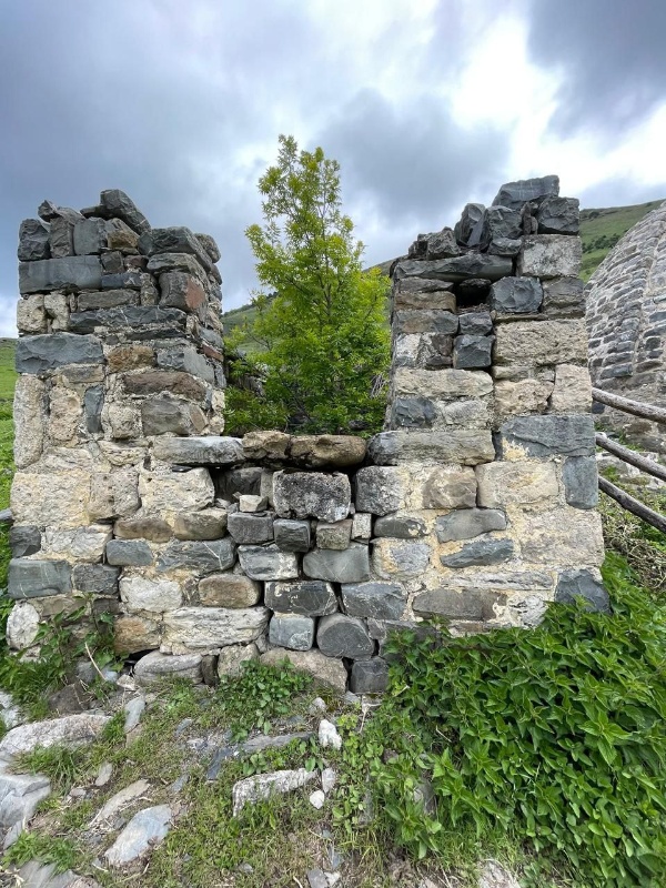 На днях сотрудник Джейрахско-Ассинского музея-заповедника, в ходе планового обхода башенного комплекса «Эрзи», в кладке надземного полуразрушенного склепа с открытой поминальной камерой, расположенном рядом с ядрообразным мавзолеем Янд-Каш, обнаружил камень прямоугольной формы, на которой выбиты горизонтальные насечки в два ряда, параллельно друг-другу.

Множество форм использования культовых камней существовало в ингушском обществе. Например, часто в кладке жилых и боевых башен можно заметить камни с отверстиями или небольшими чашеобразными углублениями, символизировавшие благодать.

Исследователь Танзила Дзаурова, в своей работе «Ингушский национальный орнамент» называет такой камень «календарным» и отмечает, что встречаются они, в основном, склепе с поминальной камерой – «Каш-ков». «Причем некоторые из них вмонтированы в кладку жилой башни, что затрудняет определение их датировки, потому что они используются повторно. Об этом свидетельствует расположение камней с петроглифами в кладке, которые как правило, отличаются от цвета камней основной кладки, а также способы его обработки».

Ряд ученых-кавказоведов и исследователей В.Н. Басилов, В.П. Кобычев, М.Р. Ужахов, Б.А. Хайров, Дзаурова Т.А-Х. и др. сходятся во мнении, что эти камни служили в прошлом календарем. Принцип действия данных календарных камней, предположительно, основывался на движении солнца.

Аналогичные склепы с поминальной камерой расположены также на территории башенных комплексов «Ний», «Оздиче», «Таргим», «Хамхи», «Эгикал», «Эрзи».
