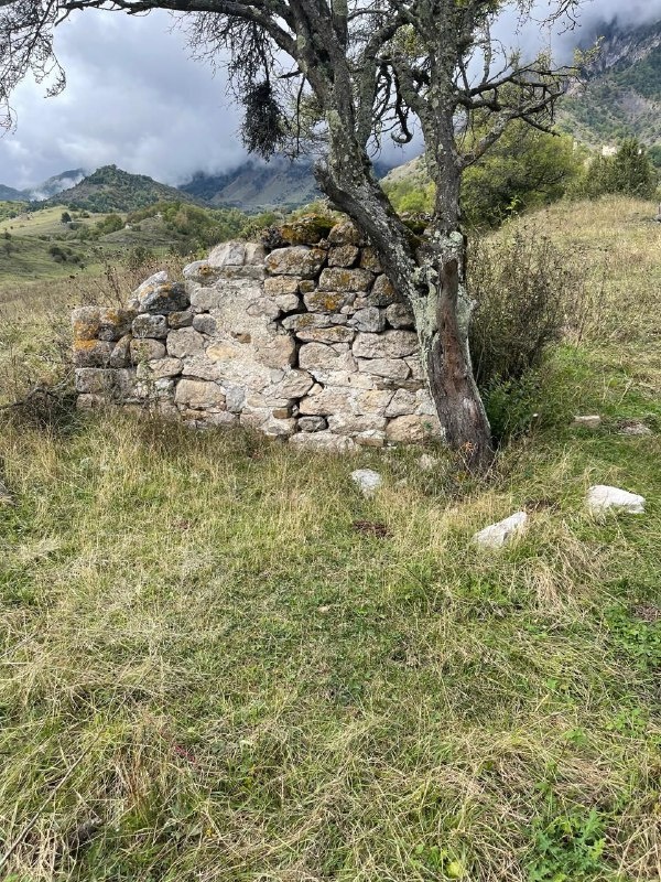 В рамках плана работы, совместно с руководителем проектной организации АСМ ГРУПП Михайловым А.Г. посетил «город мертвых» в Эгикале, который состоит из склеповых усыпальниц (1имараш).

Город мертвых расположен на окраине комплекса Эгикал, в западной части, состояние руинированное. Наиболее лучшая сохранность наблюдается у подземных строений.

Гробницы отличаются большим разнообразием. Тут есть многоэтажные постройки с несколькими погребальными камерами, с коридорчиками, каменными ящиками и тайничками. Некоторые башнеобразные склепы имеют декоративные орнаменты, осуществленные путем выборки из стен мелких камней.

По обнаруженным в склепах наконечникам стрел и золотоордынским монетам,  археологи отнесли часть гробниц к XIII-XV вв. Другая часть гробниц – эпохи средней и поздней бронзы.

Город мертвых входит в состав Джейрахско-Ассинского государственного историко-архитектурного и природного музея-заповедника и является объектом культурного наследия, охраняемого государством.

В результате поездки произведены визуальный осмотр и фотофиксация объектов, дана оценка их техническому состоянию. На следующем этапе работ будут приняты решения по их сохранению.