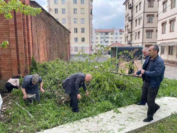 Сегодня, в рамках Всероссийского субботника, сотрудники Джейрахско-Ассинского музея-заповедника и Комитета Государственной охраны объектов культурного наследия провели санитарные мероприятия по очистке прилегающей территории офисного здания в г. Магас, а также был произведён субботник в горной местности. 

Сотрудниками учреждений была произведена обрезка деревьев, проведена работа по борьбе с нежелательной растительностью, собран и вывезен мусор с территорий.

Мы надеемся, что наш небольшой вклад в общее дело по благоустройству и очистке прилегающих территорий, улучшит состояние нашего региона. 