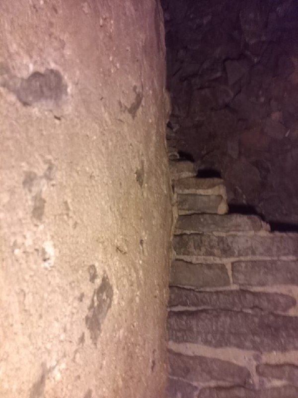 В ходе продолжающихся исследований Мальского монастыря в Псковской области, специалисты "АСМ Групп" обнаружили заложенный вход в подклет четверика Церкви Рождества Христова. 

Каменный свод, ступени и деревянная колода дверного проема - это только первые открытия по заложенным в позднее время историческим объемам храма. Исследования продолжаются и вероятно приведут к обнаружению неизвестных ранее подземных объемов и строительных конструкций наиболее старинной части церкви.