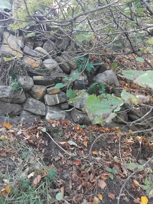 17 августа в ходе очередного осмотра, сотрудниками музея-заповедника на территории архитектурного комплекса «Верхний Пуй» обнаружены, ранее не учтенные 3 подземные склеповые усыпальницы. 

«Верхний Пуй» – небольшой башенный поселок замкового типа, расположен в Джейрахском районе, южной части Таргимской котловины, под горой Молельня. Состоит из одной полубоевой, которая сохранилась на высоту четыре яруса и полуразрушенных жилых 
башен.

Обнаруженные склепы расположены в 150-300 м. юго-западнее комплекса в лесном массиве.

Выявленные объекты культурного наследия для обеспечения их целостности и сохранности, проведя соответствующие  работы, будут включены в перечень выявленных ОКН Республики Ингушетия.