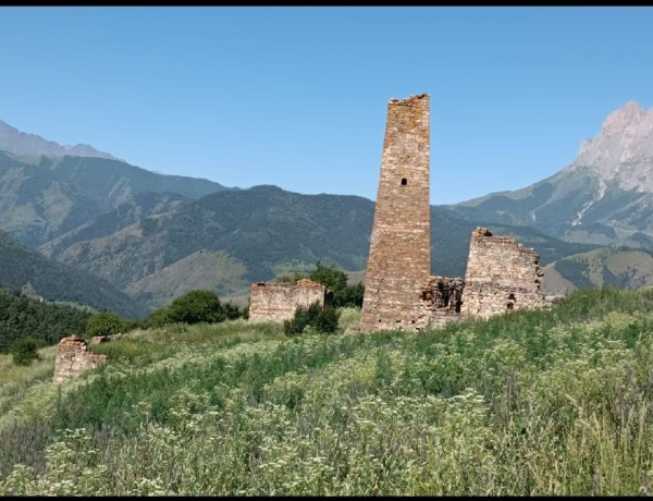 Сотрудники музея-заповедника, в ходе совершенного планового обхода, в 150 метрах к востоку от башенного комплекса «Новый Евли» обнаружили, не учтенный в перечне выявленных объектов культурного наследия, подземный склеп. 

Новый Евлои расположен в 0,5 км юго-западнее Старого Евлоя. Сегодня здесь отмечаются сильно поврежденные 1 боевая и 5 жилых башенных сооружения, которые каменной стеной объединены в единый комплекс.

Выявленный объект имеет почти квадратное основание – 200х230 см, изнутри сложен из нетёсаных камней, на извести. Вход в могильник наполовину прикрыт каменной плитой, содержит в себе костные останки, сохранность удовлетворительная.

Склеп – это надземное, полуподземное или подземное помещение, предназначенное для захоронения умерших, были вызваны к жизни в высокогорной местности из-за острого недостатка земли. Располагались преимущественно на склонах гор. Ингуши называли склепы «маьлха каш» - солнечные могилы.

Обыкновенно склепы расположены группой на окраине селения, образуя как бы особый город мертвых, но чаще они разбросаны близ селения в нескольких местах. Сложены они из нетесаных камней, на извести, имеют желтую облицовку и в каждом ярусе лазы (со сторонами около 0,5 м), через которые втаскивали покойников. Лаз прикрыт деревянной доской или каменной плитой. Ориентированы склепы по сторонам света углами или стенами. Высота склепов колеблется от 3-4 до 5-6 метров, в основании длина сторон варьирует от 2 до 4 метров.

В зависимости от числа ярусов лазы располагаются по всем сторонам склепа, служа входом в каждый ярус, также в стенах нередко встречаются маленькие сквозные отверстия, обеспечивающие вентиляцию. Сбоку лаза или над ним нередко бывает укреплена просверленная каменная плита; иногда она заменялась двумя камнями, образующими между собою щель.

По сообщению некоторых жителей, в это отверстие в старину вставлялся при совершении похорон шест с белым флагом, который оставался на склепе до тех пор, пока не истлевал. Довольно часто на облицовке склепов встречаются отпечатки кистей рук, как резонно предполагают, строителя склепа.

По выявленному объекту – подземному склепу, для обеспечения его целостности и сохранности будут представлено заявление в Комитет Государственной охраны объектов культурного наследия о включении его в перечень выявленных объектов культурного наследия республики.