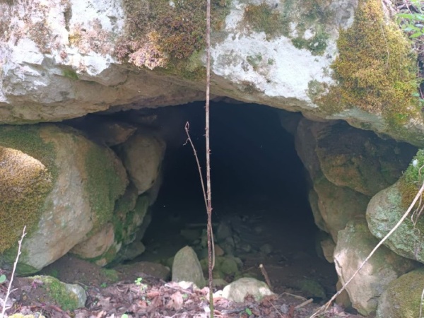 В эти дни сотрудниками Джейрахско-Ассинского музея-заповедника была совершена инспекционная поездка в Средний Оздик.

В 300-400 м. юго-западнее комплекса, в лесном массиве имеется неучтенный небольшой городок наземных, подземных и полуподземных склепов, по предварительной информации, насчитывающий 22 объекта.        На следующем этапе, сотрудниками будут произведены обмеры, фотофиксация и инвентаризация этих объектов для обеспечения их сохранности и целостности. Также они подлежат дальнейшим исследованиям с привлечением сотрудников компетентных учреждений.   