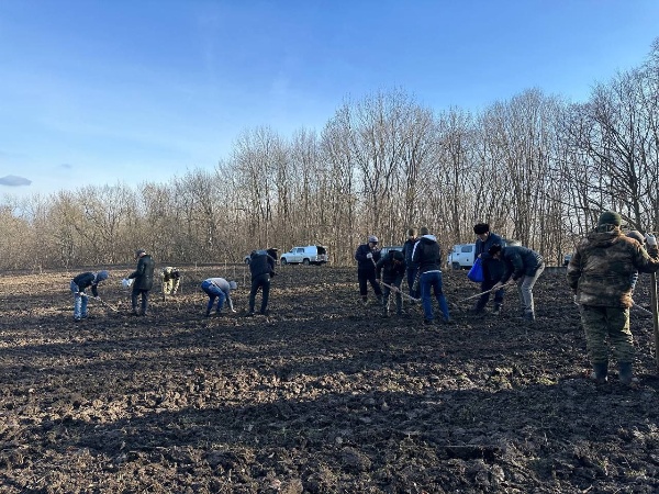 В лесном питомнике Сунженского лесничества посеяли 250 кг семян дуба и бука.

Работу провели силами лесоводов и сотрудников лесопожарных центров Минприроды Республики Ингушетия.

Цифры и факты:
Объем семян: 250 кг
Площадь посева: 0,35 га
Плановый выход: 10 000 деревьев
Год сбора семян: 2025 г.

Что дальше? 
Будущий лес требует постоянного внимания: орошение, рыхление, прополка и защита от вредителей. 

Весь семенной материал — собственного сбора и отмечен знаком качества филиала ФБУ «Рослесозащита».

Главная цель — вырастить качественный посадочный материал для будущих устойчивых лесов.