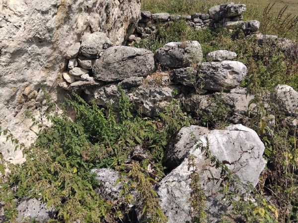 В 300 м западнее от сторожевой боевой башни «Магой-Джел», расположенной под Цей-Лоамским горным перевалом – между двумя глыбами скал, находится, неучтенная в перечне выявленных ОКН, интересная в строении, каменная овчарня-джел, которая служила загоном для мелко-рогатого скота. Памятник полуразрушен.

Обычно такие овчарни (Магой-Джел, Дзауркъонги-Джел) располагались на территории пастбищных угодий и, как правило, их пристраивали к большим валунам, которые им служили крышей или стеной. «Магой –джел» в переводе означает «овчарня маг1о», здесь по этнографическим данным содержал и пас свою отару овец знаменитый Маго, от которого идут многие ингушские фамилии.

Еще одна, искусно построенная возле огромного валуна, башня-убежище Дзауркъонги-Джел находится в 2 км севернее села Верхний Гули.

После проведения соответствующих работ, памятник пополнит список выявленных объектов культурного наследия республики.