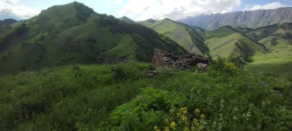 И.о. директора Джейрахско-Ассинского музея-заповедника А. Сампиев совершил инспекционную поездку в башенный комплекс «Гвези», расположенному в восточной части Гулойхийского ущелья Джейрахского района, пограничной зоне, в 400 метрах юго-восточнее «Кашети», на крутом горном склоне.

Лишь одна жилая башня комплекса сохранилась на высоту одного этажа, остальные постройки находятся в разрушенном состоянии. В черте поселка располагаются пять подземных коллективных склеповых гробниц и некрополь из каменноящичных захоронений.  На жилой башне комплекса, на арочном камне входного проема имеются петроглифы, в виде 3 отпечаток кистей рук – двух больших и одной маленькой.

Комплекс малоизвестен, редко посещаем и труднодоступен. Рядом расположены небольшие средневековые башенные поселения «Агутыр», «Кашети», «Оасег».

Летом прошлого года между поселениями Гвези и Агутыр было обнаружено кладбище с 13 надмогильными стелами и 5 раннемусульманскими могилами.