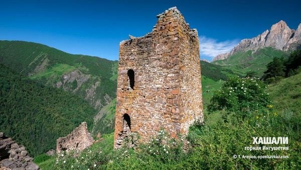 В 800 м. юго-восточнее Тумги находится небольшой, малоизвестный башенный комплекс замкового типа - Хашале, в составе которого имеются относительно хорошо сохранившиеся 1 полу боевая, 4 жилые башни, 1 склеповый могильник. 

Местные башни были зафиксированы и обследованы Чахкиевым Д.Ю. в 1980 г., который отмечает, что в комплексе имеются 4 башенного строения позднего средневековья с разнотипными конструктивными деталями и полуразрушенная коллективная усыпальница.

В нашем материале впервые дается описание пообъектного состава комплекса.

Полубоевая башня №1 -  размеры в основании ( 4*6 м.). Постройка трёхъярусная, частично разрушена, крыша отсутствует, на восточной стороне на втором и третьем ярусах имеются два входа-лаза, вход на первый ярус обвален. Северная сторона глухая, на западной и южной сторонах имеются отверстия-бойницы, также на южной стороне имеется руинированная пристройка с сохранением основания.

Жилая башня №2 -  размеры  в основании (7*14 м.) Постройка расположена по склону холма, разрушена и в крайне аварийном состоянии, северная сторона обвалена,  крыша отсутствует, на восточной стороне имеется арочный заваленный вход.

Жилая башня №3 -  размеры  в основании (4* 7м). Разрушенная и в крайне аварийном состоянии постройка, крыша отсутствует, на южной стороне сохранились арочный вход и лаз, последний расположен с левой стороны над входом.

Жилая башня №4 -  размеры  в основании (8*4 .м).  Частично разрушенная постройка, крыша отсутствует, с северной стороны заглублена в склон горы, на западной стороне один над другим расположены два арочных входа, с внутренней части южной стены расположены ниши-углубления и одно сквозное отверстие-лаз.

Жилая башня №5 -  размеры  в основании( 10*5 м.) Разрушенная и крайне аварийная постройка, крыша отсутствует, северная и восточная части разрушены до основания.

Склеповый могильник №6 -  размеры  в основании (3,30 *3,20 м.) Разрушенная и крайне аварийная постройка, расположена на склоне холма, крыша – пирамидально-ступенчатая, сохранилась  на половину, восточная и северная части склепа обвалены, на западной и северной стороне наличествуют лазы-отверстия.

Полевой материал. Публикуется в целях зашиты, сохранения и популяризации объектов культурного наследия.