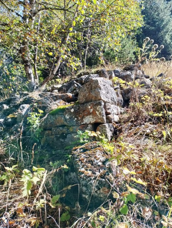 На территории комлекса «Лялах» обнаружена ранее не известная склеповая гробница.

Сотрудники музея-заповедника во время очередного обхода на территории «Лялах» - крупного башенного комплекса замкового типа, обнаружили ранее не известную наземную склеповую гробницу в руинированном виде.

Усыпальница находится на склоне горы, в юго-западном направлении от башен, в лесном массиве. Как известно, склеповые могильники возводились на окраинах поселений, на горных склонах.

Склеп полностью разрушен, сохранились лишь юго-западный и юго-восточный углы на высоту 0,7 и 0,8 м. Объект в плане прямоугольный, в основании имеет размеры 2,70 х 4,60, сложен из тесанного белого камня.

Для определения датировки объекта, выяснения наличия или отсутствия костного материала и воссоздания конструктивных особенностей сооружения требуются дальнейшие исследовательские работы.

Напомним, что  ранее, в ноябре прошлого года  на территории комплекса также были обнаружены коллективные гробницы подземного типа.