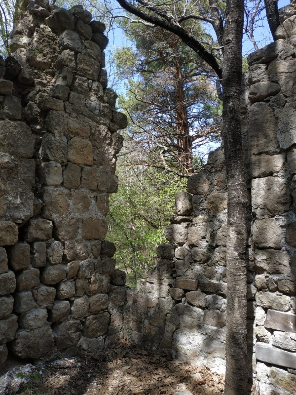 Сотрудники музея-заповедника провели мониторинг двух Таргимских храмов святилищ, расположенных в 2 км севернее поселка Таргим, на горном склоне правого берега реки Ассы. Памятники полуразрушены, сохранность около 20-30 %.  

Первый храм представляет собой здание простой зальной композиции с одной апсидой и поперечной аркой, столпы которой незначительно выступают от кладки стен. На северной стене сохранились фигуры человеческих силуэтов.  Внутри помещение завалено камнями. 
Рядом с храмом расположена полуподземная усыпальница.

У второго храма сохранилась лишь центральная часть (церковь) 75-80%. Отличительная особенность храма – наличие подземной склеповой усыпальницы, лаз в которую был устроен под западной стеной храма.

Сотрудниками музея-заповедника были проведены обмеры объекта, произведена фотофиксация. Состояние культовых памятников оценивается как крайне критическое.  Исследователи датируют эти памятники X-XI вв.