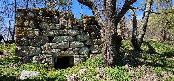 В рамках плановой научно-исследовательской работы сотрудники ГБУ «Аргунский музей-заповедник» организовали выездную экспедицию на территорию Ачхой-Мартановского района Чеченской Республики.

В процессе проведения плановой экспедиции специалисты музея — заповедника во главе с руководителем провели детальный осмотр, зафиксировали данные полученные в процессе изучения объектов обладающих признаками объектов культурного наследия.

По итогу на территории Ачхой-Мартановского района, общества Мержа было выявлено 21 объект:

3 склепа;

1 боевая башня;

1 полу боевая башня;

16 жилых башен.

А так же были проведены работы на территории хутора входящего в бывшее селение Нижние Гереты.