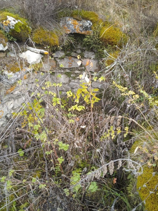 Сотрудники музея-заповедника во время инспекционного обхода, недалеко от башенного комплекса «Лялах» обнаружили неучтенные подземные склепы, в количестве трех штук.

Башенный комплекс Лялах — крупный поселок замкового типа в Чулхойском (Салгинском) ущелье. Построенный в XVI веке. С северо-запада территория поселка ограничена оврагом, по дну которого протекает ручей, с юга - обрывистым берегом речки Чулхи, с востока - неглубоким оврагом. На севере расположен Скалистый хребет и гора Цей-Лоам. В нижнем ряду поселка расположены три боевые башни, выше по склону, под их прикрытием, построены 22 жилые башни.

Два склепа относительно хорошей сохранности, по сравнению с третьим, размеры которого не представляется возможным определить.

Сотрудниками были проведены обмеры объекта, произведена фотофиксация.

Первый склеп имеет размеры в основании 3х3 м, глубина полтора метра, входной проем один. Второе сооружение с размерами в основании 3.5х3.5 м., глубина 1 м., крыша отсутствует. Третий склеп руинирован.

Работы проводятся в рамках плановых работ по фиксации и учету ранее не учтенных объектов культурного наследия.

Выявленные объекты будут включены в перечень выявленных объектов культурного наследия республики и введены в научный оборот, и они будут представлять интерес для всех, кто увлекается историей региона.