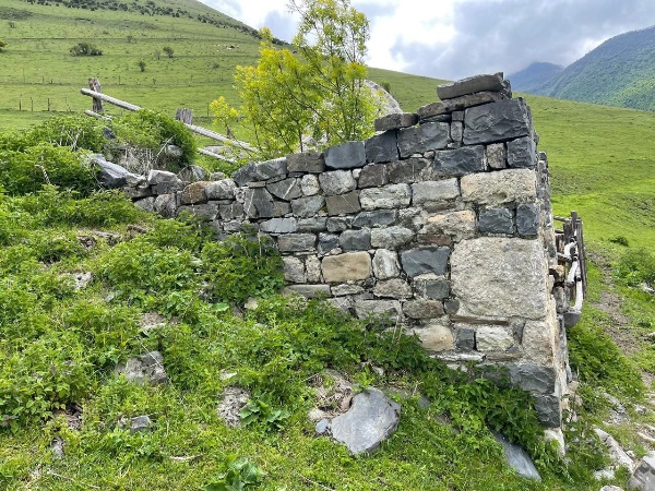 На днях сотрудник Джейрахско-Ассинского музея-заповедника, в ходе планового обхода башенного комплекса «Эрзи», в кладке надземного полуразрушенного склепа с открытой поминальной камерой, расположенном рядом с ядрообразным мавзолеем Янд-Каш, обнаружил камень прямоугольной формы, на которой выбиты горизонтальные насечки в два ряда, параллельно друг-другу.

Множество форм использования культовых камней существовало в ингушском обществе. Например, часто в кладке жилых и боевых башен можно заметить камни с отверстиями или небольшими чашеобразными углублениями, символизировавшие благодать.

Исследователь Танзила Дзаурова, в своей работе «Ингушский национальный орнамент» называет такой камень «календарным» и отмечает, что встречаются они, в основном, склепе с поминальной камерой – «Каш-ков». «Причем некоторые из них вмонтированы в кладку жилой башни, что затрудняет определение их датировки, потому что они используются повторно. Об этом свидетельствует расположение камней с петроглифами в кладке, которые как правило, отличаются от цвета камней основной кладки, а также способы его обработки».

Ряд ученых-кавказоведов и исследователей В.Н. Басилов, В.П. Кобычев, М.Р. Ужахов, Б.А. Хайров, Дзаурова Т.А-Х. и др. сходятся во мнении, что эти камни служили в прошлом календарем. Принцип действия данных календарных камней, предположительно, основывался на движении солнца.

Аналогичные склепы с поминальной камерой расположены также на территории башенных комплексов «Ний», «Оздиче», «Таргим», «Хамхи», «Эгикал», «Эрзи».