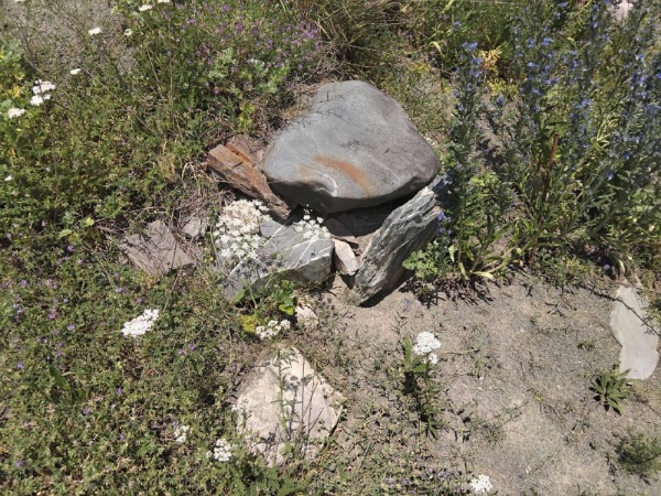 20 июля Руководитель Комитета Государственной охраны объектов культурного наследия Кодзоев Т.У. и и.о.директора музея-заповедника Сампиев А.А. с сотрудниками Джейрахско-Ассинского музея-заповедника в рамках плана работы по визуальному осмотру технического состояния ОКН совершили инспекционную поездку к архитектурному комплексу «Памет» (Пхамат, Паьмат, Пхьамат)», расположенному на крутом склоне левого берега р. Арамхи, у начала Джейрахского ущелья в 0,8 км восточнее Н.Озми. 

Ранее указанный поселок состоял из 1 боевой башни и 5 жилых башен с пристройками, с которыми вместе с оборонительной стеной составляли довольно прочный замковый комплекс позднего средневековья.   К сожалению, 1944 году архитектурный комплекс был разрушен. 

Боевая башня в 6 этажей, размещалась в центре всего замка, имела квадратное основание с навесными машикулями – балкончиками, ступенчато – пирамидальной крышей, состоящей из 13сланцовых плит с венчающим крупным конусовидным камнем и достигала 28 – метровой высоты. Согласно бытующим преданиям, эта башня была построена в начале XVII века. Вахушти Багратиони в XVIII веке говорил: «Тут стоит большая башня, обведенная, подобно крепости стеной».

На северной окраине поселка прежде возвышался крупный средневековый храм «Памет-Ерды» (Пхамат-Ерды)., разрушенный в середине XlX века.
На возвышенности кургана находятся множество склеповых захоронений, требующие археологического исследования.

Со слов жителей Джейрахского района, в бытность ЧИАССР здесь проводил исследование известный археолог Виноградов В.Б., многие найденные артефакты были вывезены.

Также при подготовке к реставрации башен найден интересный камень с петроглифом.