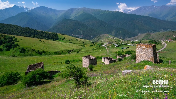 Башенный комплекс Бейни у подножия горы Маьт-Лоам. Он включает в себя полуруинированные или сильно поврежденные позднесредневековые одну полубоевую и 8 жилых башен с различными пристройками и каменными оборонительными стенами. Каждая башня входила в отдельный комплекс сооружений. Жилые башни с пристройками и стенами были сгруппированы по фамильным кварталам.

На стенах и дверных проемах у двух жилых башен можно видеть линейные петроглифы и тамги (кресты, триквестры, фигурки людей и пр.).

На северной окраине поселка Бейни, в обрывистых склонах горы Маьт-Лоам, расположены 4 малодоступных скальных убежища позднего средневековья, обширные пещеры с фасадными южными каменными стенами. Они аккуратно сложены на известковом связующем растворе и покрыты светло-желтой штукатуркой. В стенах устроены небольшие сводчатые дверной и оконные проемы. В этих убежищах во время угрозы вражеского нападения укрывалось небоеспособное население поселка Бейни.

На южной окраине поселка Бейни, на горном склоне, в довоенное время возвышался позднесредневековый храм-святилище Бейни-Сели с прямоугольным основанием и двускатно-ступенчатой крышей.

В эпоху позднего Средневековья башни Бейни предназначались для защиты окружающих селений от вражеских нападений, а также проживания знаменитых в этой местности родов. Традиционно, все башни окружены каменным ограждением. Боевая башня находится на самом верху комплекса и предназначена для его защиты. Согласно источникам, башенный комплекс Бейни был полностью покинут жителями во время выселения ингушского народа в 1944 году. 

В настоящее время башни находятся в наполовину разрушенном состоянии. Комплекс башен Бейни окружают альпийские луга, покрытые шелковой, изумрудной травой, в гуще которой скрываются чистейшие родники, а весной обширные поля зацветают потрясающе красивыми букетами.

История Бейни, основанного примерно в XVI веке, неразрывно связана с кровопролитными войнами тех времен. И хотя основным занятием обитателей этих мест было скотоводство, но всё же, обстоятельства вынуждали их постоянно оттачивать также свои оборонительные навыки. Об этом даже сохранилась легенда, которую из уст в уста пересказывают здешние жители. По народному преданию, некогда на месте с. Бейни было село Иоарх1аче - сорняки и жили тут Г1ам-наькъан - племя ведьм. Г1ам-наькъан отличались жестокостью и коварством.

И не было покоя от них никому. Основное их занятие было грабежи и разбои. Для набегов и ведения войны в условиях гор этот род имел 63 всадника-воина. Г1ам-наькъан уводили скот у соседних племен.

Горцы долго терпели бесчинства людей племени-ведьм. Но пришёл день, когда соседям надоело их коварство, и они решили хитростью искоренить сильный род грабителей. Братья Дзарах, Марзбик, Шовхал из села Фалхан, скрыв истинные свои намерения, пригласили на пир мужчин их рода и отравили.

Только двое мужчин из их рода остались живыми - они в то время были в отъезде. Племя Г1ам-наькъан было сломлено и оставшиеся женщины, и дети покинули эти места.

Так исчезло село Йоарх1аче и со временем на этом месте возник аул Бейни. Старожилы говорят, что село свое новое название получило от убитых Г1ам-наькъан, т.е. от мертвых – «Бейнараш» - Бейни, а рядом лежащее другое село стали называть Кашат1е (Кашиети) - место их захоронения.